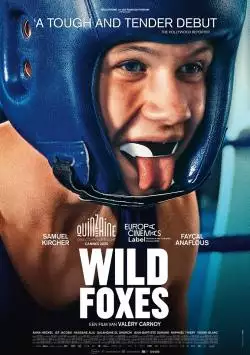 WildFoxes_134296129332374296_big-cine_deskt.webp