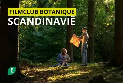FILMCLUB_SCANDI_web2.png