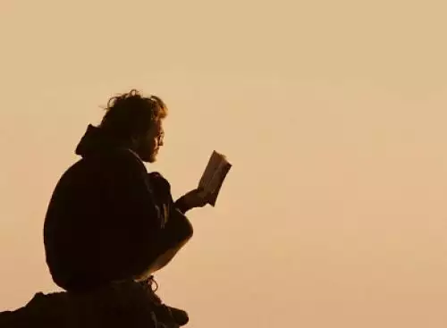 intothewildstill3_134252505540145085_big-cine_deskt.webp
