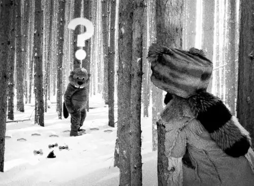HundredsofBeavers_134319482336576725_big-cine_deskt.webp
