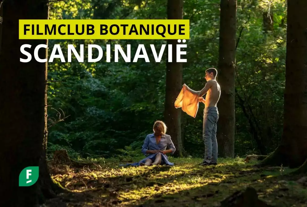 FILMCLUB_SCANDI_web2.png