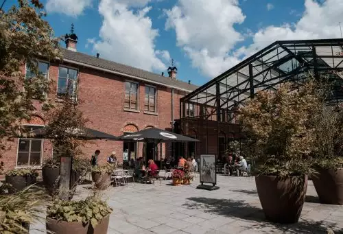 Terras